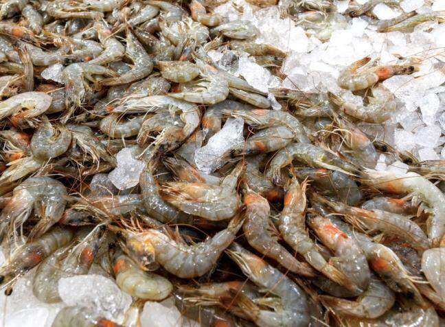 Australia lifts ban on import of unpeeled Indian prawns