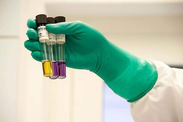 Purple Biotech jumps 92% after key progress on cancer drug