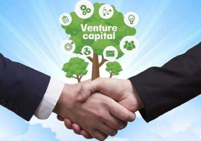 What role does a venture catalyst play in startup growth?