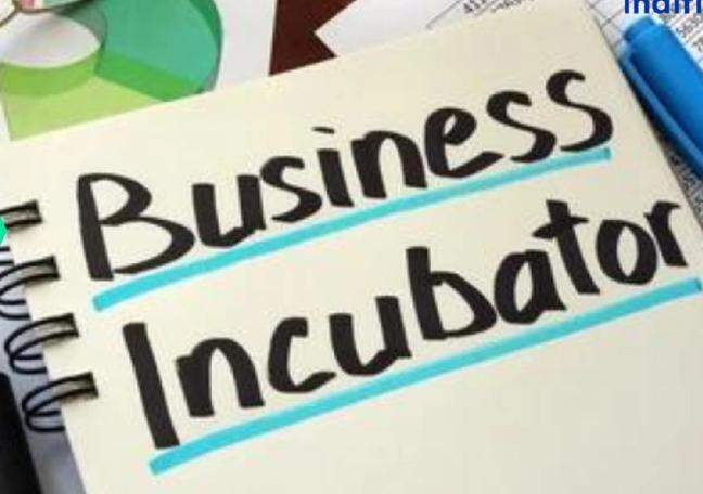 Why is business incubation critical for startup acceleration?