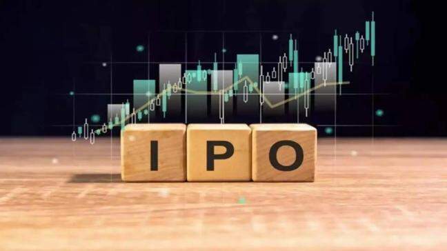 Which IPOs will hit the stock market next week?