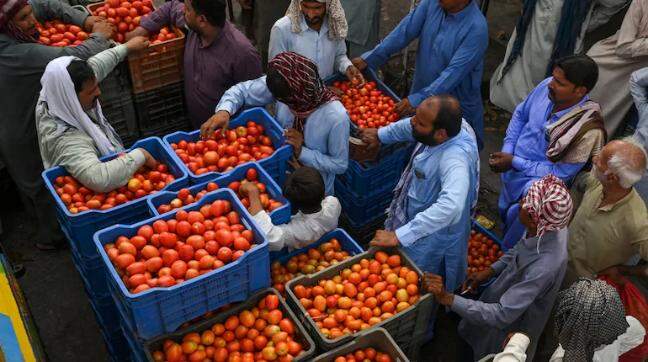 IMF flags lack of transparency in Pak's Asim Munir-led economic body: Report