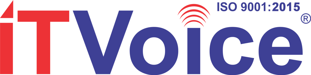 It Voice profile image