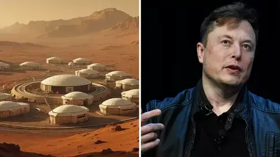 True: Musk as X user says he got into US politics to colonise Mars