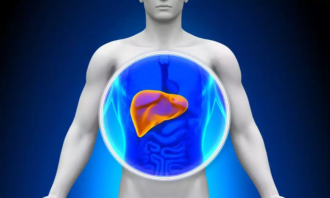 Rising demand and success of liver transplants in India