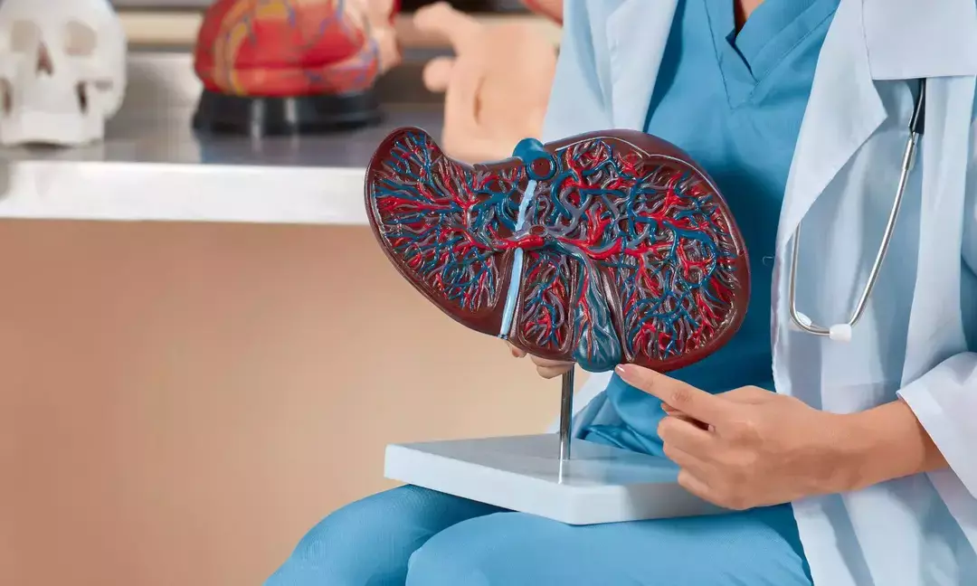 Maharashtra cop donates liver to save ill younger brother