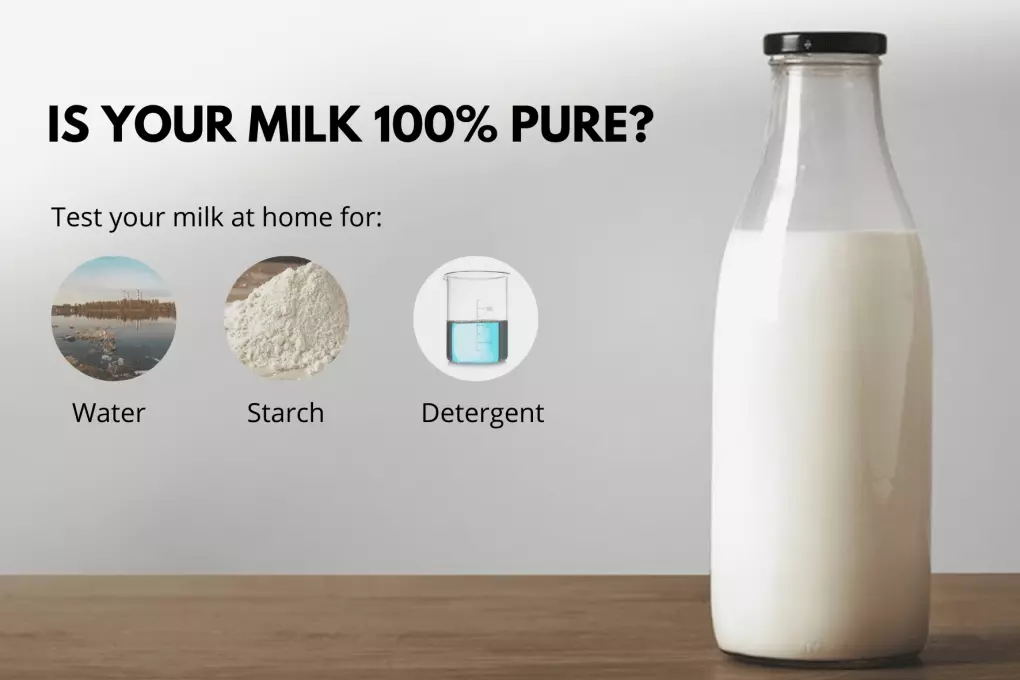 How to perform starch test to understand if milk is adulterated?