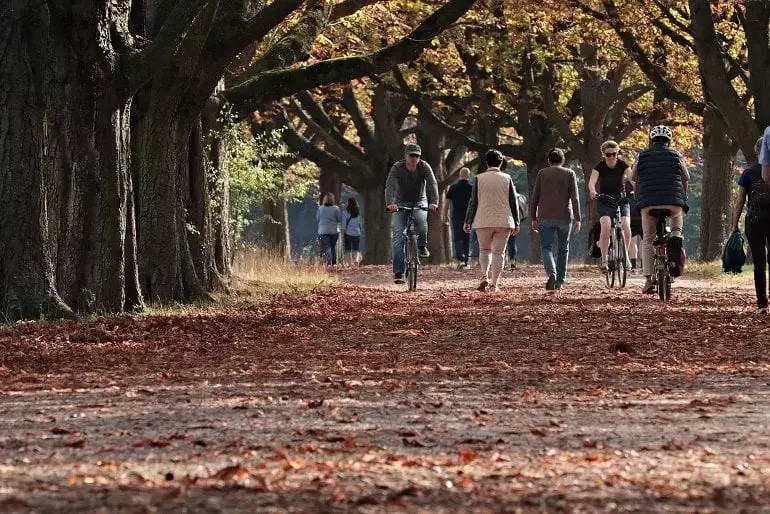 Green environments found to slow childhood weight gain