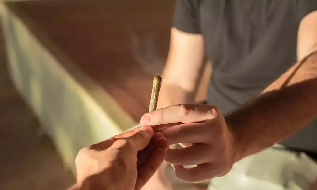 Cannabis use linked to dangerous 'scromiting'