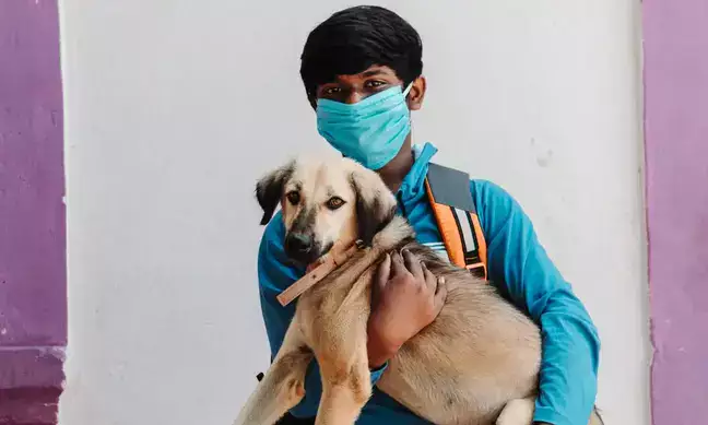 India's Pet Care Boom: A ₹5,000 cr opportunity for MSMEs