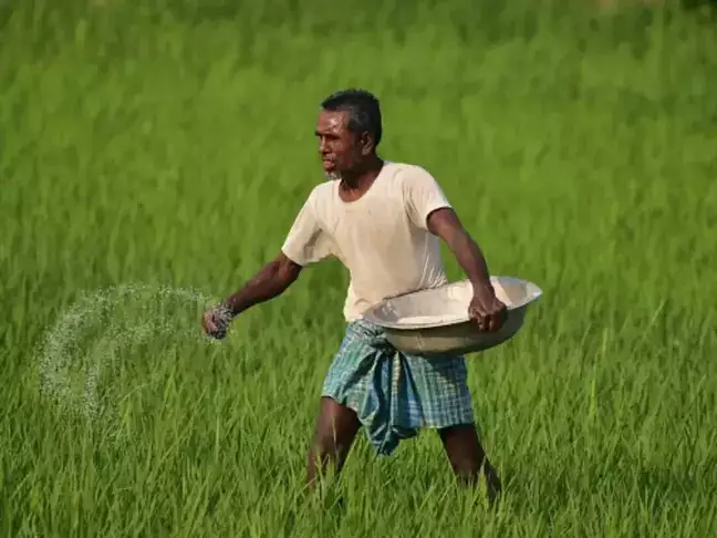 Chambal Fertilisers near ₹560 trigger; pullback in sight: Analyst