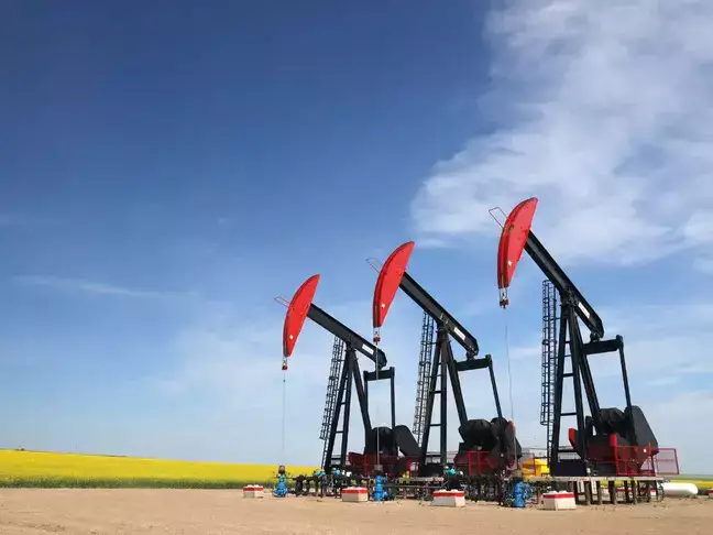 Oil falls as Trump sets 50-day deadline for Russia sanctions