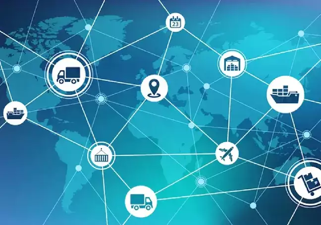 Is effective supply chain network designed for efficiency?