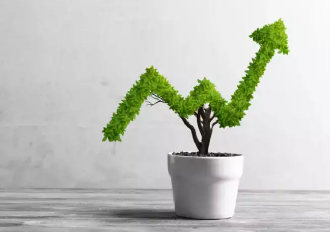 How can businesses accelerate organic growth?